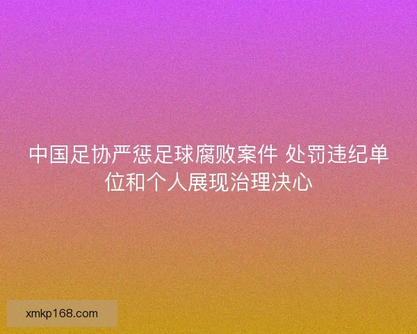 中国足协严惩足球腐败案件 处罚违纪单位和个人展现治理决心