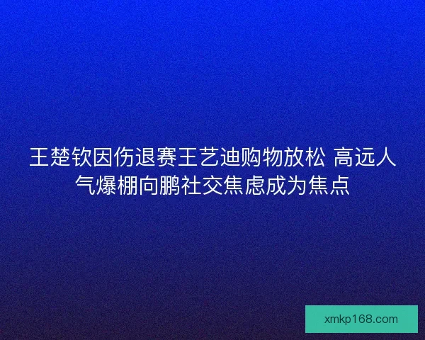 王楚钦因伤退赛王艺迪购物放松 高远人气爆棚向鹏社交焦虑成为焦点 王楚钦因伤退赛王艺迪购物放松 高远人气爆棚向鹏社交焦虑成为焦点